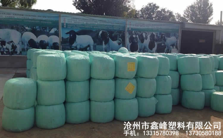 綠色牧草膜產品實拍